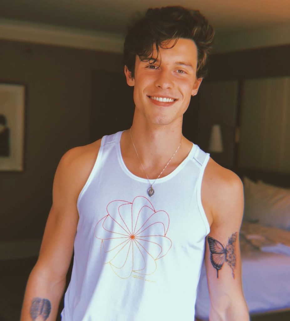 Shawn Mendes butterfly tattoo